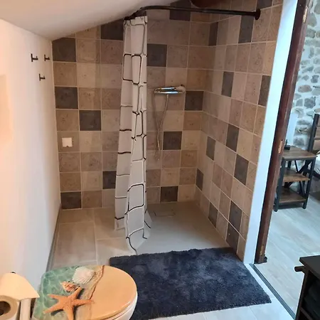 Maison Neuve Parc Naturel Livradois Forez Animal Accepte Tussigere