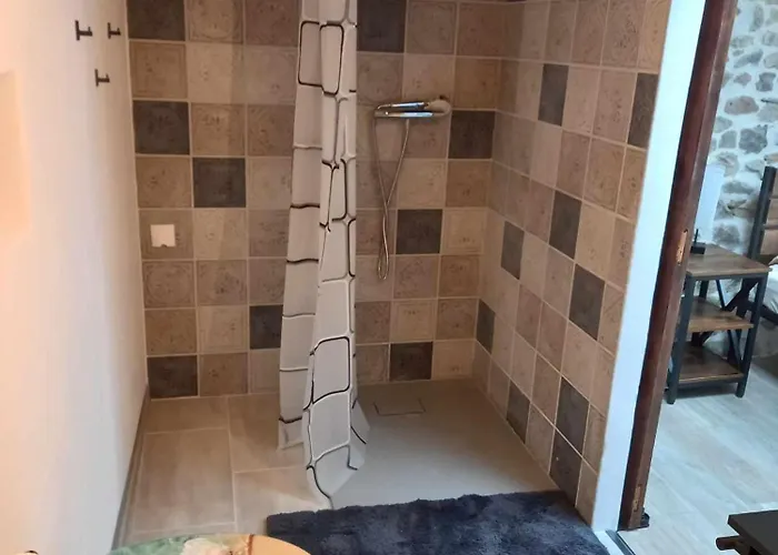 Maison Neuve Parc Naturel Livradois Forez Animal Accepte Tussigere