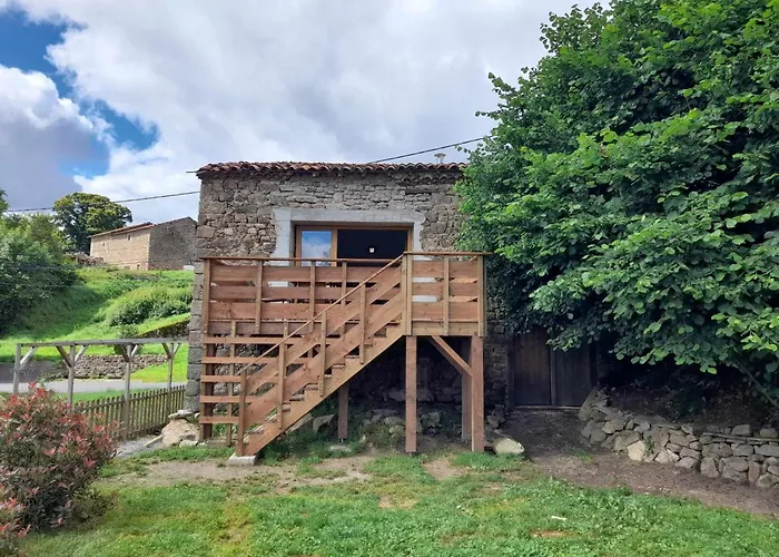 Maison Neuve Parc Naturel Livradois Forez Animal Accepte Tussigere